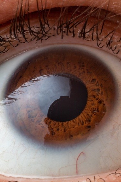 eye-4965458_640